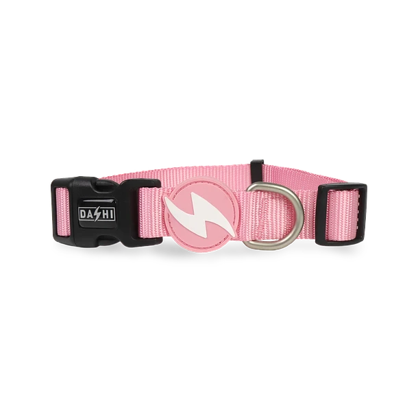 Dashi Collar