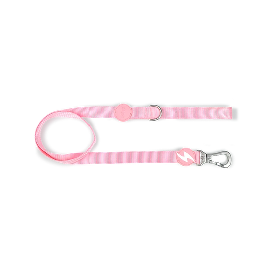 Dashi Correa Paseo Perros