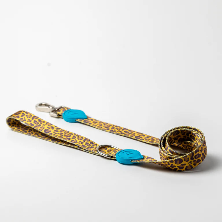Correas Pet Find