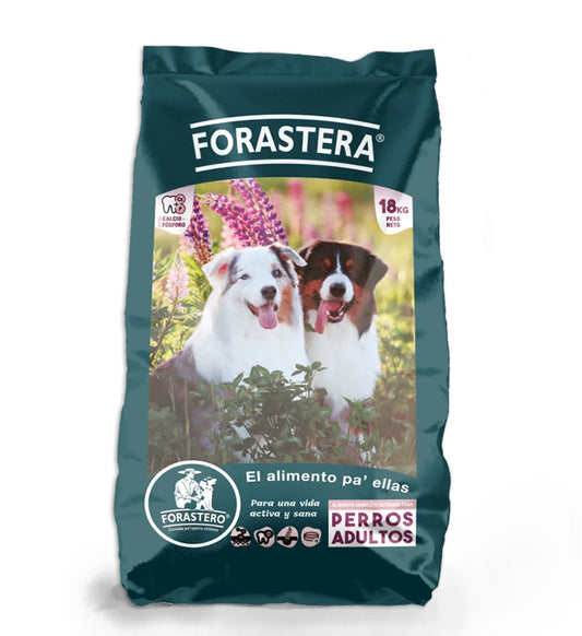 Forastero Alimento Perro Hembra 18 kg