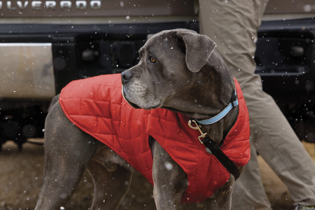 KURGO Chaqueta Loft Impermeable