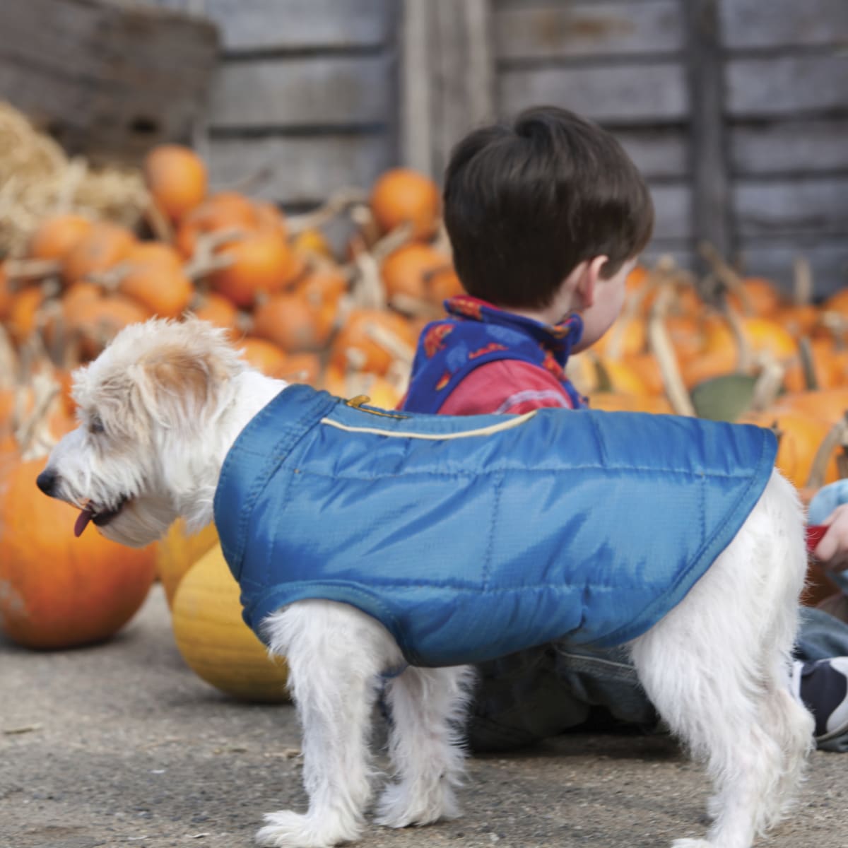 KURGO Chaqueta Loft Impermeable