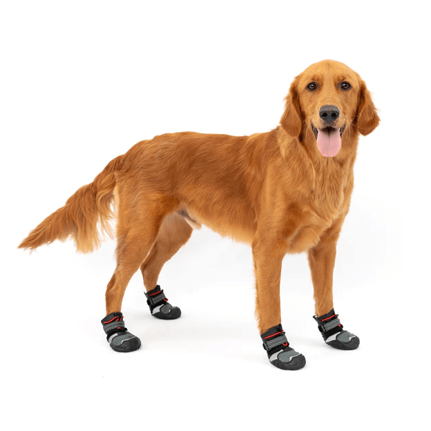 KURGO Zapatilla Blaze Dog Boots
