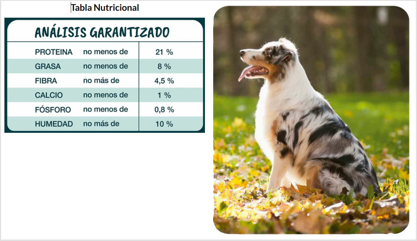 Forastero Alimento Perro Adulto 20 kg