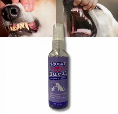 SPRAY ORAL PET para Mascotas