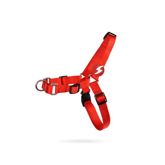 Dashi Arnés Perro Frontal Anti tirón