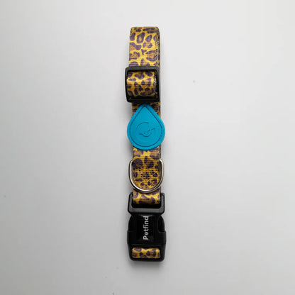 Collares Pet Find