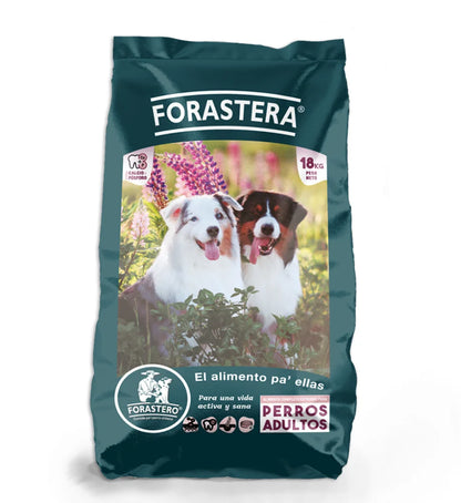 Forastero Alimento Perro Hembra 18 kg