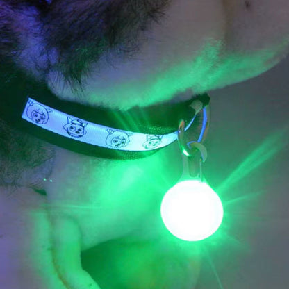 Luz Nocturna Seguridad Mascotas Perros y Gatos
