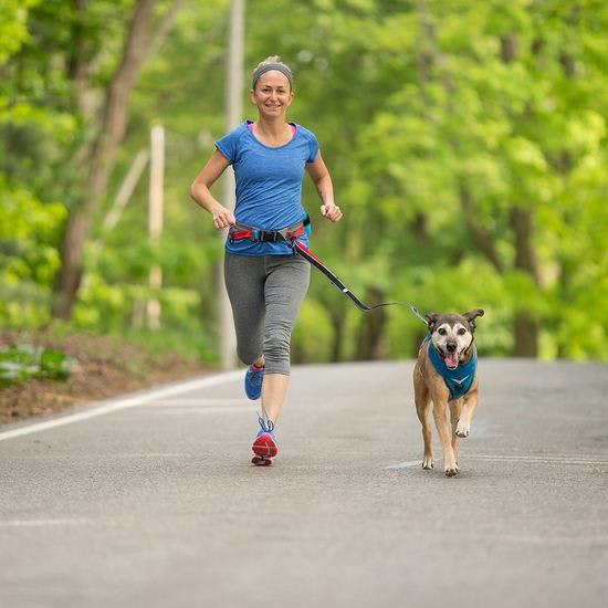 KURGO Cinturón K9 Running