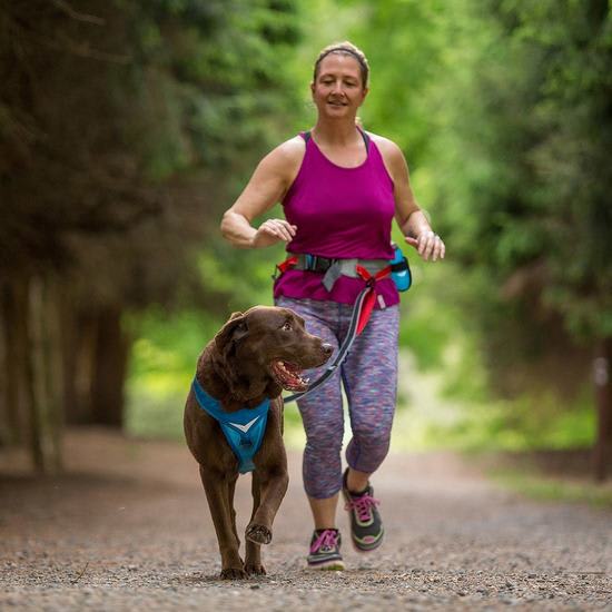 KURGO Cinturón K9 Running
