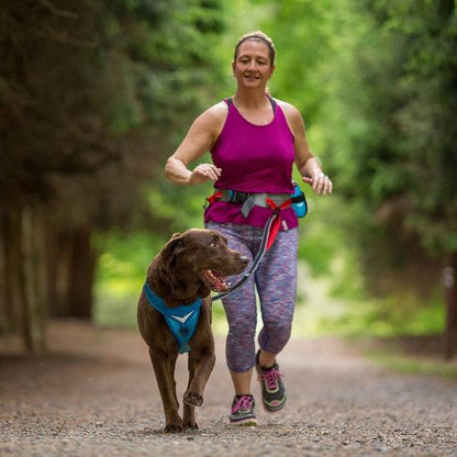 KURGO Cinturón K9 Running