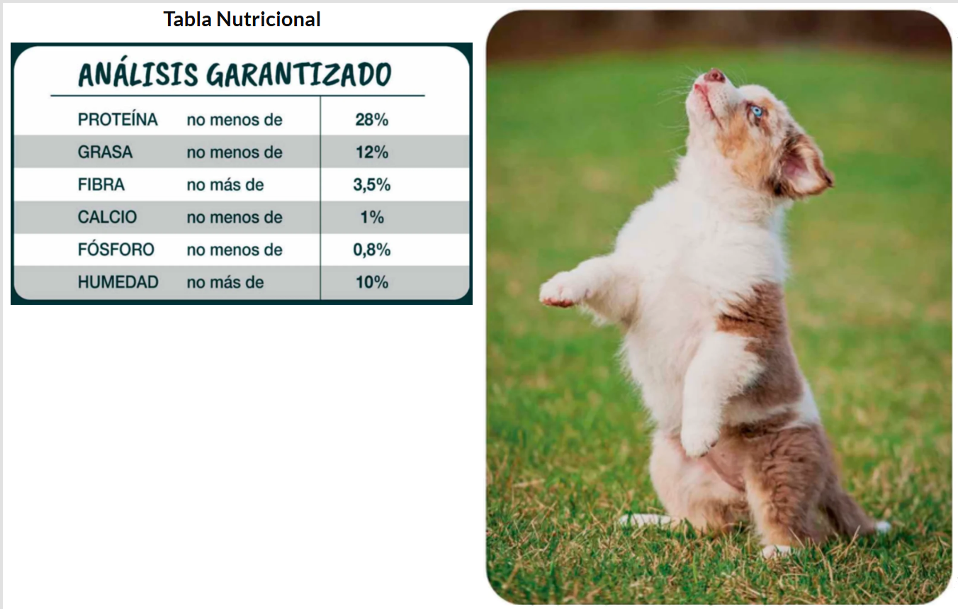 Forastero Alimento Perro Cachorro 10 kg