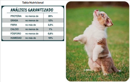 Forastero Alimento Perro Cachorro 10 kg