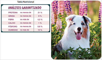 Forastero Alimento Perro Hembra 18 kg
