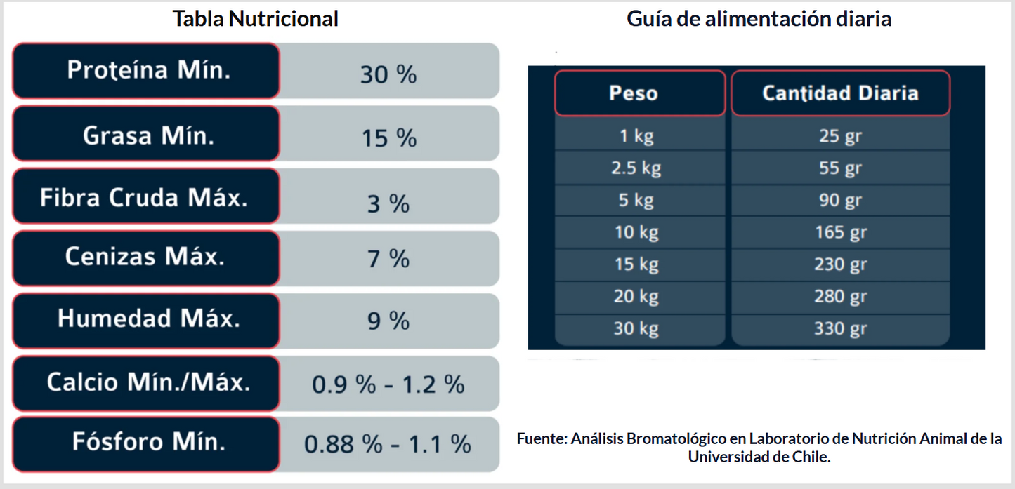 Poema Adulto Salmon Alimento Perro